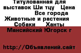 Титулованная для выставок Ши-тцу › Цена ­ 100 000 - Все города Животные и растения » Собаки   . Ханты-Мансийский,Югорск г.